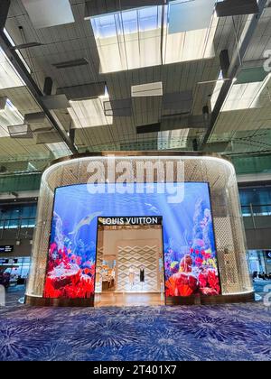 Louis Vuitton Singapore Airport