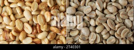 dried coffee beans with or without hull or parchment skin, coffea arabica, pulp and skin or flesh or the coffee cherry is removed from the beans Stock Photo