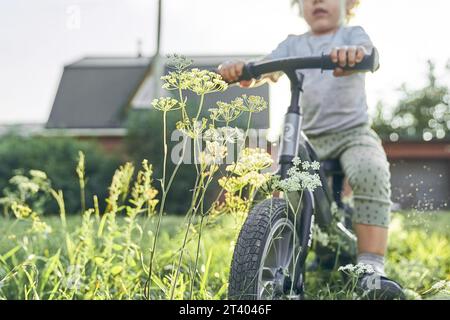 An active child has fun on the background of country houses. A charming child on a bicycle. The concept of suburban life with space to copy. High quality photo Stock Photo