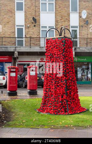 Poppy dress in Manitoba pays tribute to veterans