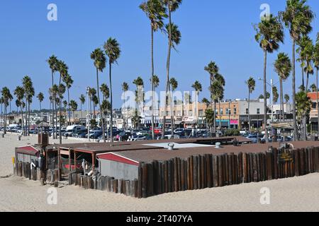 NEWPORT BEACH, CALIFORNIA - 26 OCT 2023: The Dory Fishing Fleet and Market is a beachside fishing cooperative at the pier founded in 1891. Stock Photo