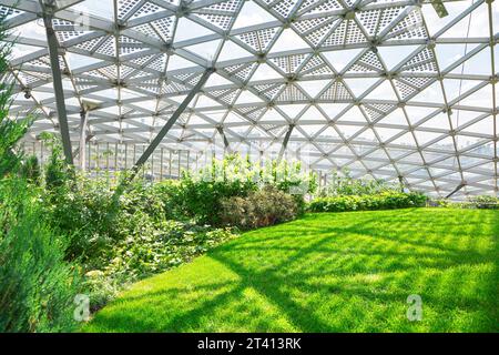 dome with glass roof, indoor park with plants lit by sunlight green plants, nobody. Stock Photo