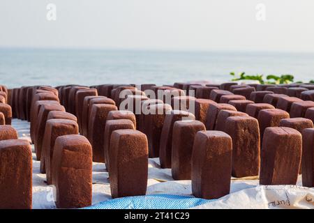 shrimp paste block made traditionally and sun-dried outdoors Stock Photo