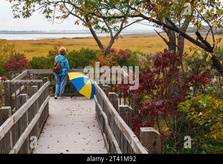 Visitor  at Jamaica Bay Wildlife Refuge in late October Stock Photo