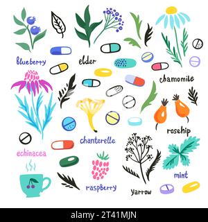 Health supplements and medicinal plants. Concept of herbs using in natural medicine. Vector illustration Stock Vector