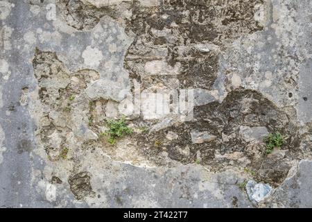 Weathered facade, wall stones, format filling, background, texture, Istria, Croatia Stock Photo