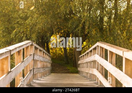 An idyllic bridge with a wooden gate leading to a picturesque pathway surrounded by lush greenery Stock Photo