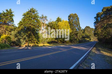 An asphalted road in a rural area in southern Brazil. Stock Photo