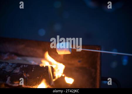 Picnic at night. Food on fire. Food on stick. Flames from firewood. Stock Photo