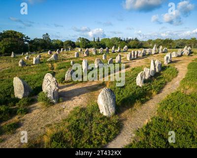 Carnac alignments in the early morning (Kermario alignments, Carnac (56340), Morbihan (56), Brittany, France). Alignements de Carnac. Stock Photo