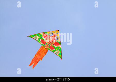 XUEHONGYAN Goldfish Kite with 300 Meter Line Reel Easy to Fly Huge