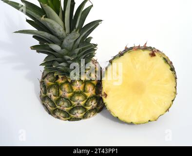 Ananas, comosus sativus ist eine wohlschmeckende Suedfrucht und gilt als Beere. Pineapple, comosus sativus is a tasty fresh fruit and is considered a Stock Photo