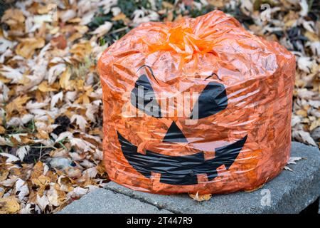 Halloween pumpkin decoration bag for autumn leaves. Stock Photo