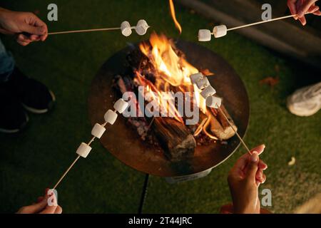 Closeup roasted marshmallows on skewers over open camping bonfire Stock Photo