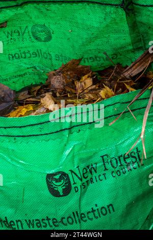 new forest district council garden waste collection bag full of autumn leaves fallen from trees during the autumn season in the woods. Stock Photo
