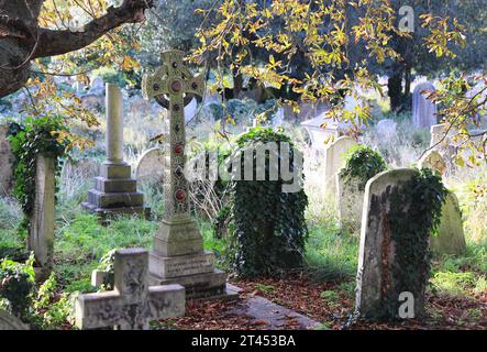 Autumn sunshine in Brompton Cemetery, one of London's Magnificent Seven, UK Stock Photo