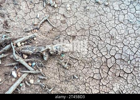 Dry cracked earth, soil drought dry earth dry soil arid clay soil with cracks cracking, dead tree barks pieces. Concept- climate change Stock Photo