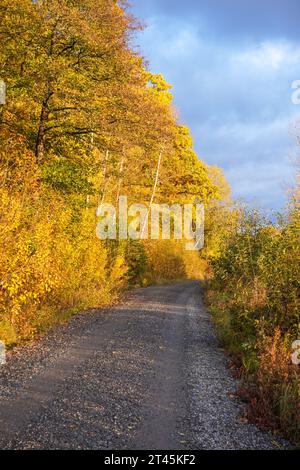 Empty road amidst trees against sky during autumn Stock Photo