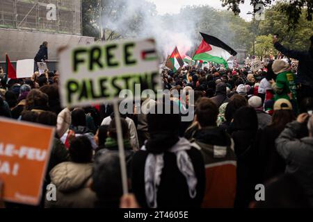 Paris, France. 28th Oct, 2023. Thousands of protesters gather at Place de Chatelet during the Pro-Palestine demonstration. Despite yet another pro-Palestinian demonstration being banned in Paris by the police prefecture, thousands of people gathered at Place de Chatelet to demand an immediate ceasefire by the Israeli army in Palestine. Dozens of protesters were detained by police forces. Credit: SOPA Images Limited/Alamy Live News Stock Photo