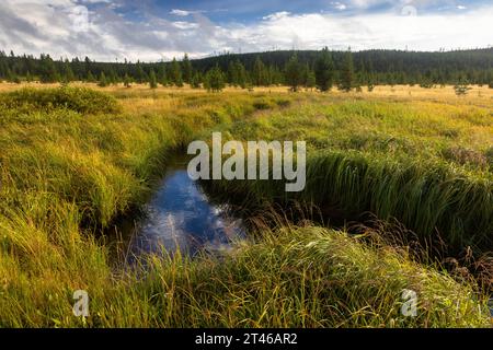 Stormy weather clearing in the sky above the Gibbon River. Yellowstone National Park, Wyoming Stock Photo