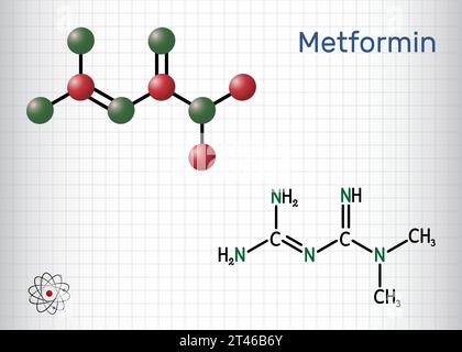 Metformin molecule. It is biguanide antihyperglycemic agent used in management of type II diabetes. Structural chemical formula, molecule model. Sheet Stock Vector