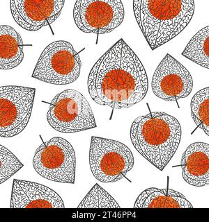 Winter cherry with berry seamless pattern. Physalis vector illustration Stock Vector