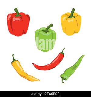 Set of colorful peppers. Bell peppers and chili vector illustration Stock Vector