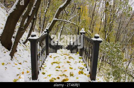 Pathway Through Yellowing Trees in Cold Autumn Day with Snow and Sunlight Stock Photo