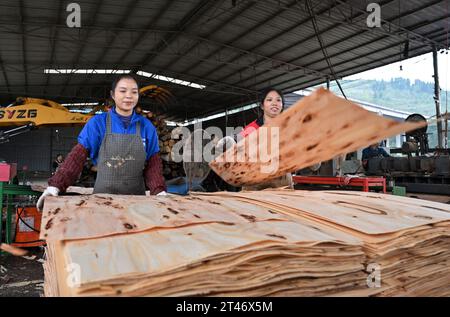 NEIJIANG, CHINA - OCTOBER 28, 2023 - Workers process thin wood chips at a wood processing plant in Neijiang city, Sichuan province, China, October 28, Stock Photo