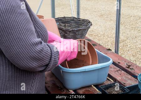 Woman in her greenhouse cleaning flower pots ready for the next growing season. Stock Photo