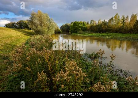 Bergkamen, Ruhr area, North Rhine-Westphalia, Germany - Autumn landscape at the Seseke. The renaturalized Seseke, a tributary of the Lippe, was transf Stock Photo