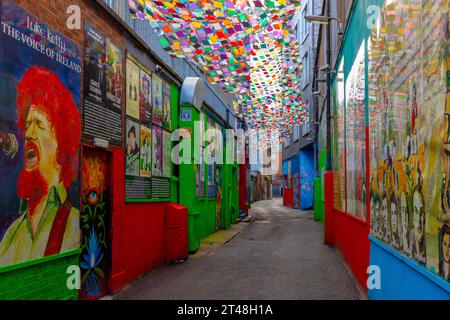 The Icon Walk is a free, open-air public art installation in Dublin, Ireland, that celebrates Irish culture and heritage through street art. Stock Photo