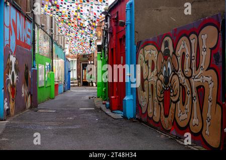 The Icon Walk is a free, open-air public art installation in Dublin, Ireland, that celebrates Irish culture and heritage through street art. Stock Photo