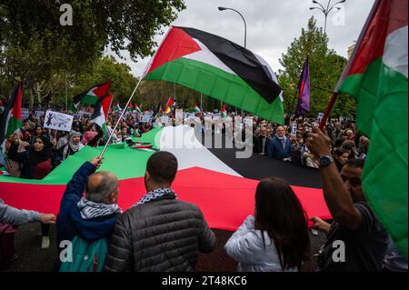 Madrid, Spain. 29th Oct, 2023. People carrying placards and flags protesting during a demonstration supporting Palestine. The Palestinian community in Madrid has taken to the streets to show their support for the Palestinian People and to protest against Israel's attacks on the Gaza Strip. Following a lethal attack by Hamas in southern Israel on October 7th, Israel has carried out intensive airstrikes while considering a potential ground invasion on the Gaza Strip. Credit: Marcos del Mazo/Alamy Live News Stock Photo