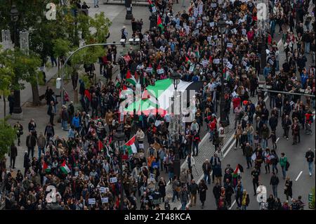 Madrid, Spain. 29th Oct, 2023. People carrying placards and flags protesting during a demonstration supporting Palestine. The Palestinian community in Madrid has taken to the streets to show their support for the Palestinian People and to protest against Israel's attacks on the Gaza Strip. Following a lethal attack by Hamas in southern Israel on October 7th, Israel has carried out intensive airstrikes while considering a potential ground invasion on the Gaza Strip. Credit: Marcos del Mazo/Alamy Live News Stock Photo
