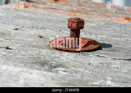 Close up old rusty threaded bolt, washer on weathered grey wooden plank Stock Photo