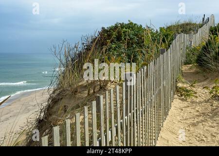 Sand fence along bluff overlooking beach, Atlantic Ocean surf at Cape Cod National Seashore on Cape Cod Stock Photo