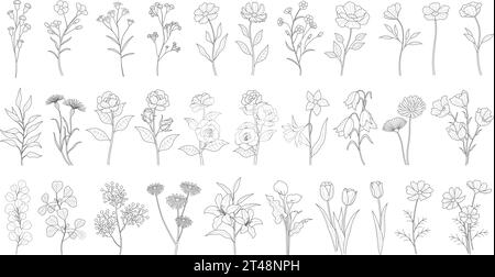 Vector Monochrome Floral Line Drawing Set Isolated On A White Background. Stock Vector