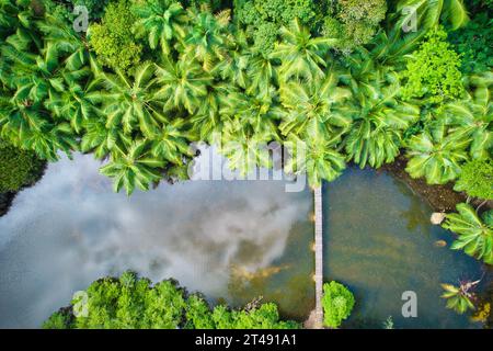 Drone bird eye view at Anse solei beach, bridge over river within forest Mahe Seychelles Stock Photo