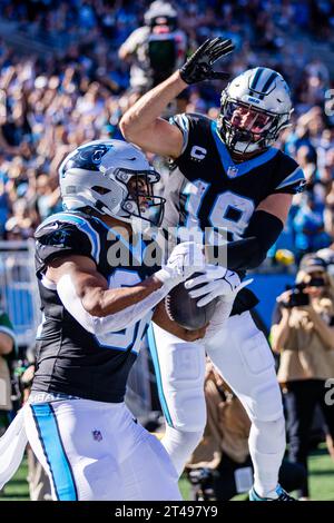 Carolina Panthers tight end Tommy Tremble (82) during an NFL football ...