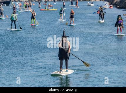 Santa Barbara, California, USA. 29th Oct, 2023. Dozens of witches getting ready for Halloween paddle around the Santa Barbara Harbor at the annual Witchy Paddle. (Credit Image: © PJ Heller/ZUMA Press Wire) EDITORIAL USAGE ONLY! Not for Commercial USAGE! Credit: ZUMA Press, Inc./Alamy Live News Stock Photo