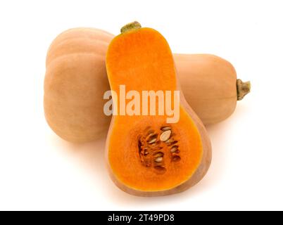 Pumpkins  isolated on white background Stock Photo