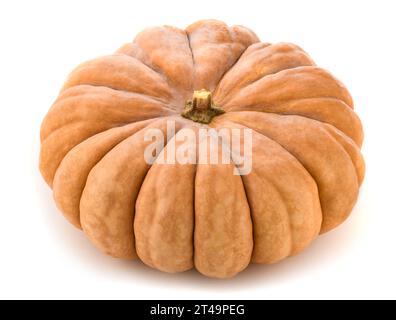 Pumpkin  isolated on white background Stock Photo