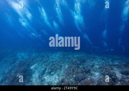 Bubbles rise from below as a group of divers swims along the edge of a coral reef looking down a dropoff wall into the deep blue Stock Photo