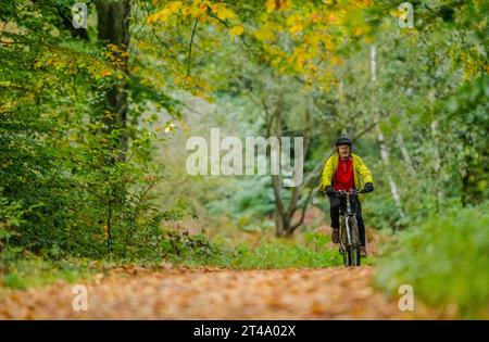 Cyclist riding in Sherwood Forest along a tree lined national cycle route with the trees in their autumn colour. Stock Photo