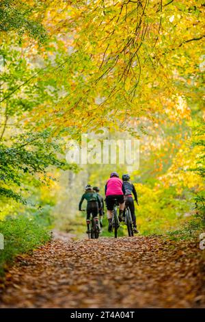 Cyclist riding in Sherwood Forest along a tree lined national cycle route with the trees in their autumn colour. Stock Photo