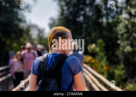 Tourist woman walks along a walkway towards the Iguazu Falls Stock Photo