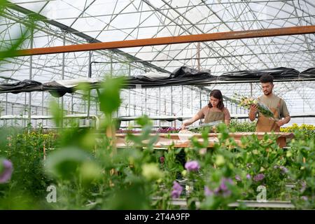 Long shot of two young workers of garden center making bouquets from fresh flowers while standing by workplace in industrial greenhouse Stock Photo