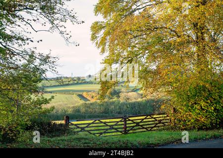 Farm gates and autumn trees near Guiting Power, Cotswolds, Gloucestershire, England Stock Photo