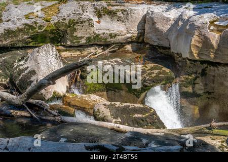 View of the Los Pertes de la Valserine with its waterfalls and the forest around Stock Photo